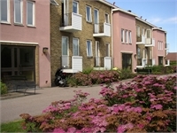 Image missing alt text